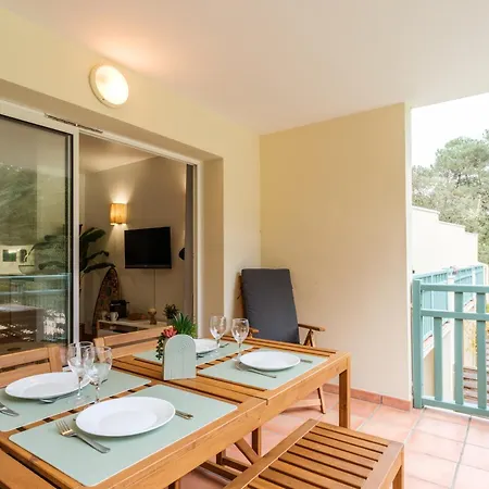Les Pins Dores Le Petit Nid Douillet Et Cosy *